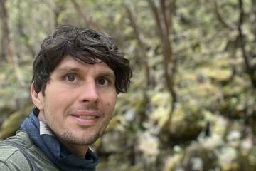 Angelo Haller, Forest